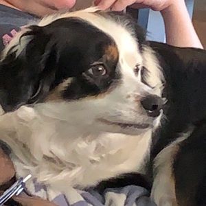 Meet your Posher, Sidney